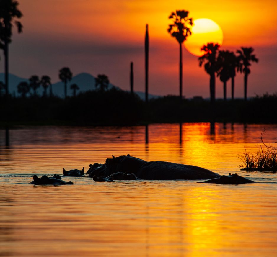 Nyerere National Park, Tanzania