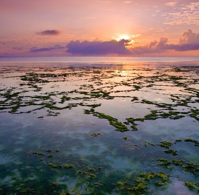 Zanzibar, Tanzania