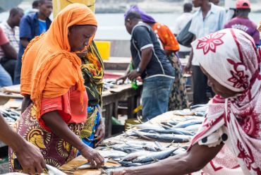 Fish market, Dar es Salaam, Tanzania