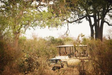 Kigelia camp, Ruaha, Tanzania