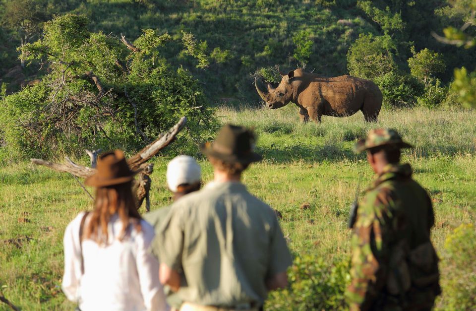 Borana Lodge, Laikipia, Kenya