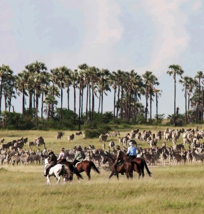Camp Kalahari, Botswana