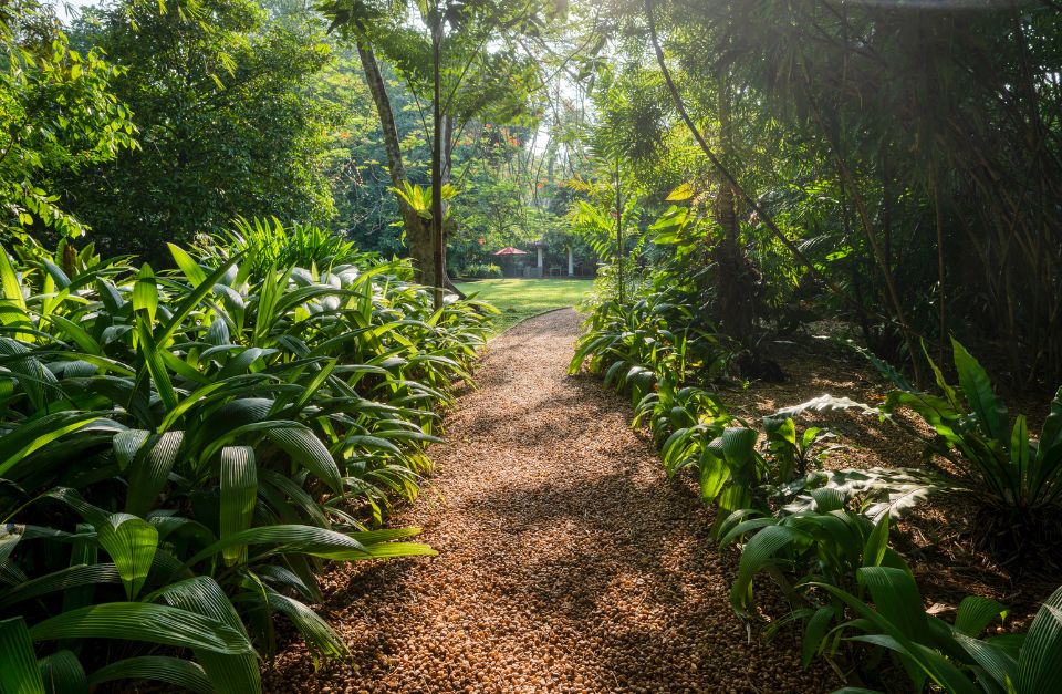 Garden pathway, The Wallawwa, Colombo, Sri Lanka