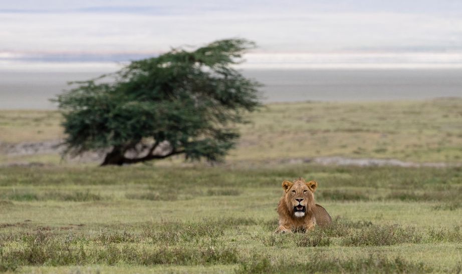 Ngorongoro, Tanzania