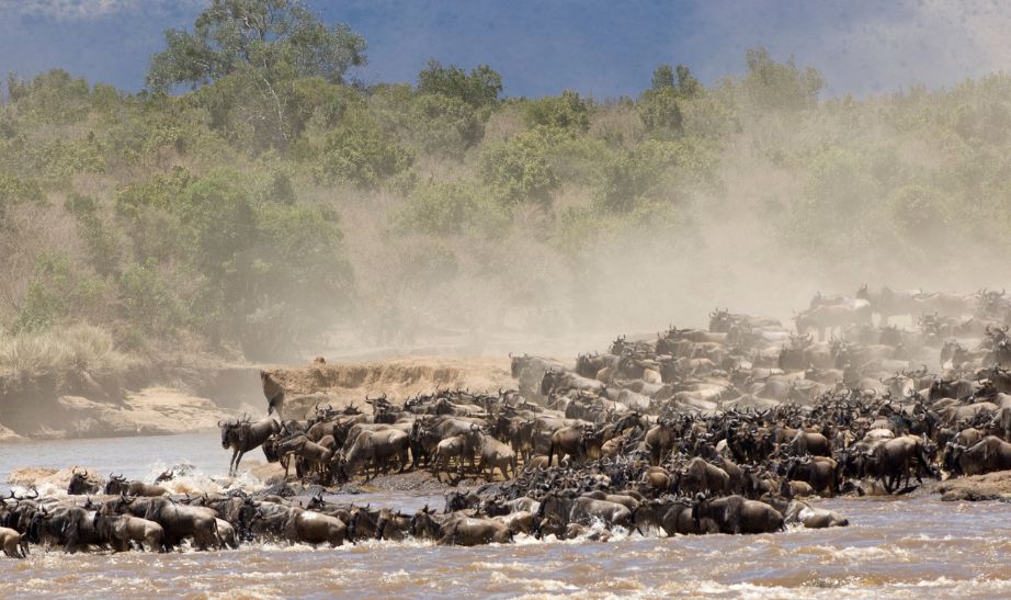 Serengeti, Tanzania
