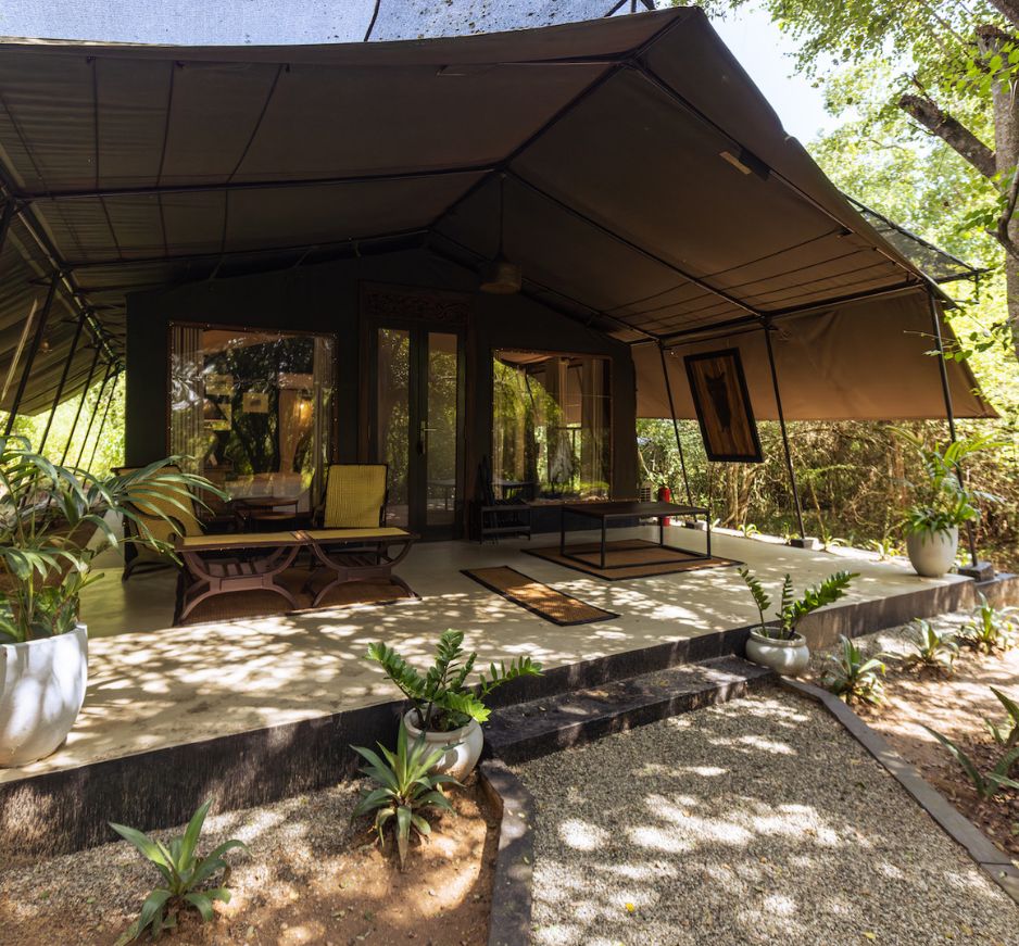 Pool Suite, Leopard Trails, Wilpattu, Sri Lanka