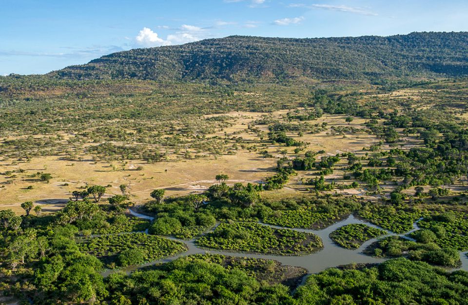 Roho ya Selous, Tanzania
