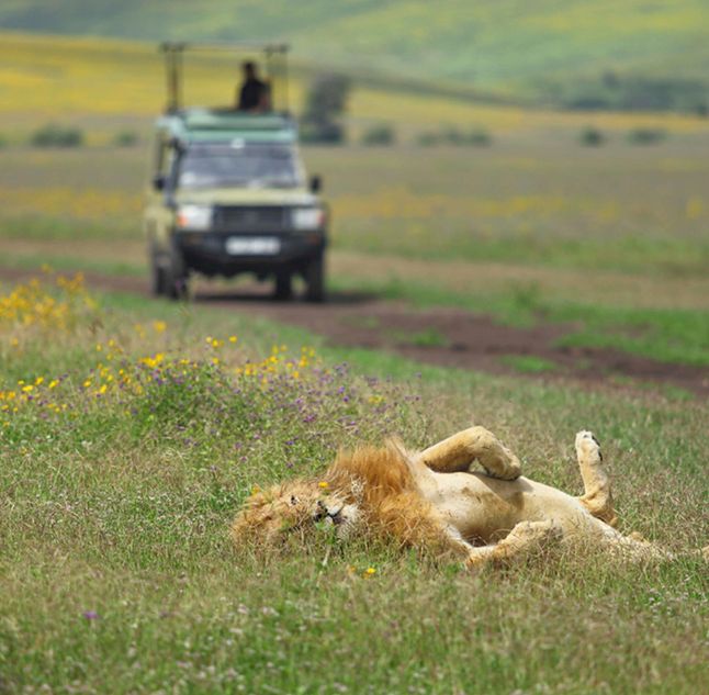 The Highlands, Ngorongoro Crater, Tanzania