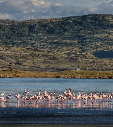 Lake Natron