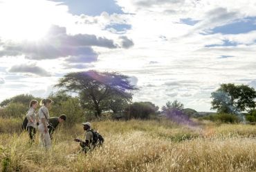 Kuro Camp, Tarangire NP, Tanzania