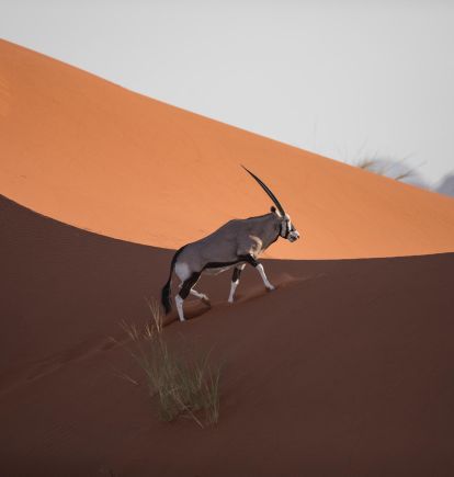 Sossusvlei Desert Lodge, Namibia