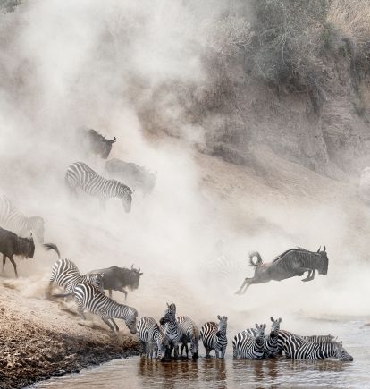 Serengeti National Park, Tanzania