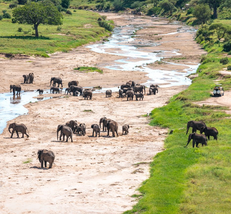 Tarangire NP, Tanzania