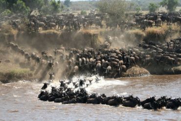 Lamai, Serengeti, Tanzania