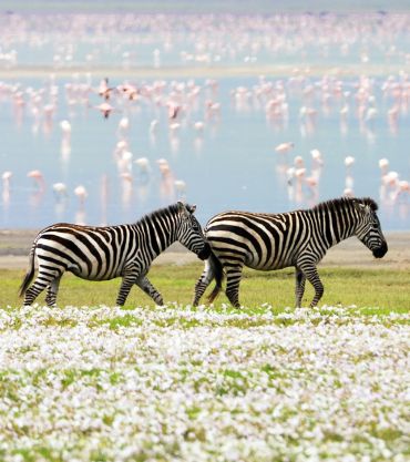 Ngorongoro Crater, Tanzania