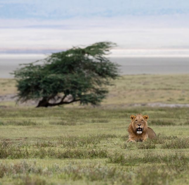 Ngorongoro, Tanzania
