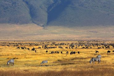 Ngorongoro Crater, Tanzania