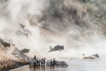 Serengeti NP, Tanzania