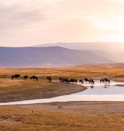 Ngorongoro, Tanzania
