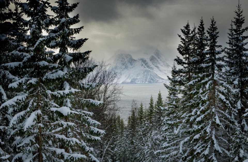 Northern Norway