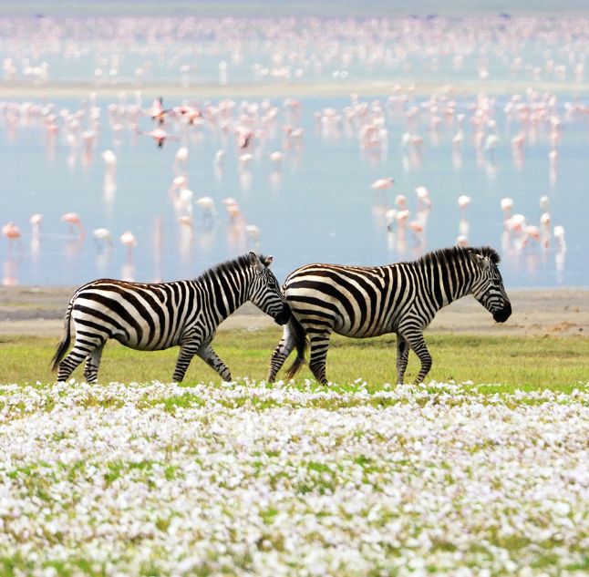 Ngorongoro, Tanzania
