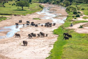 Tarangire NP, Tanzania