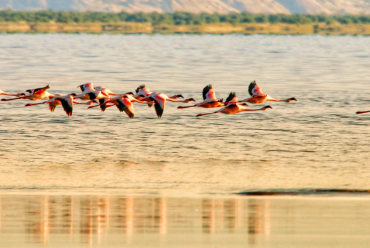 Lake Natron, Tanzania