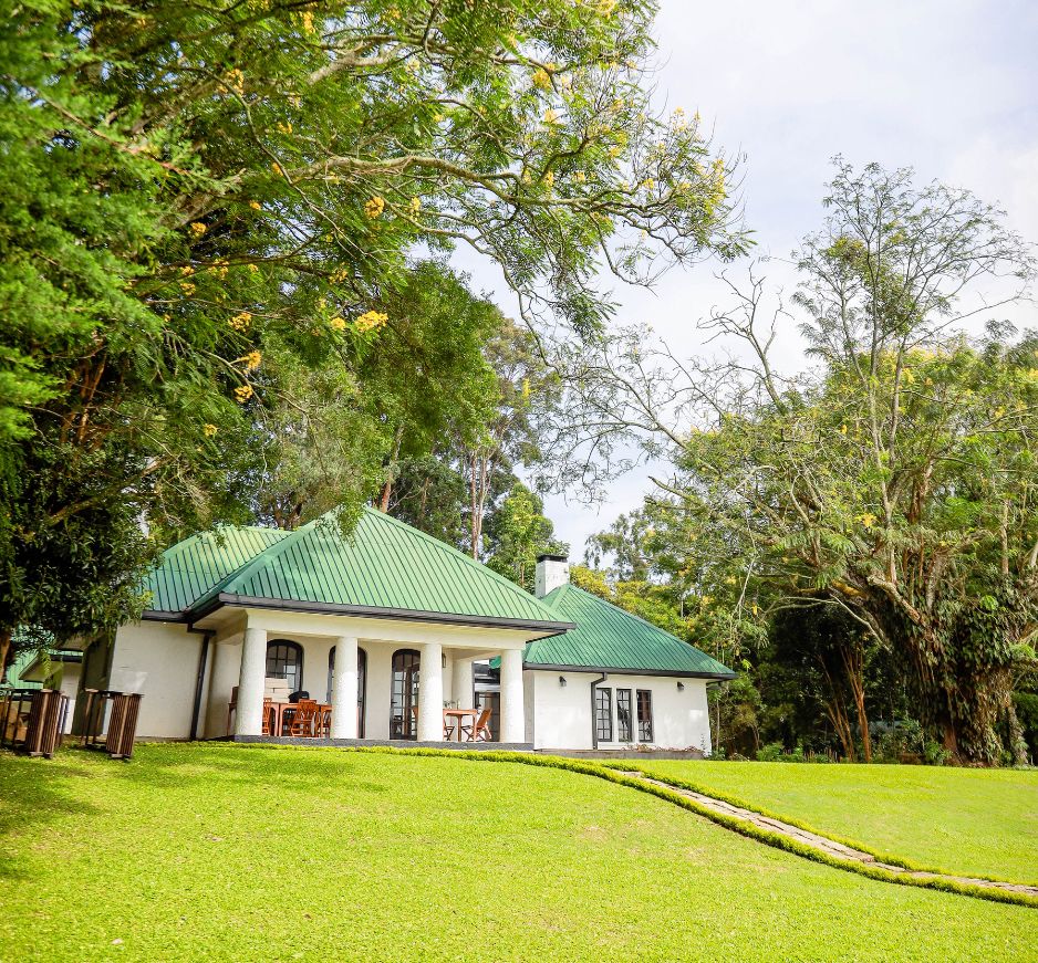 Exterior, Thotalagala, Hill, Country, Sri Lanka