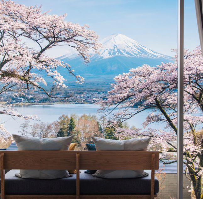 Cherry Blossom view, Hoshinoya Fuji, Lake Kawaguchi, Japan