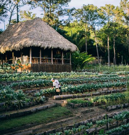 Gardens, Blancaneaux Lodge, Mountain Pine Forest, Belize