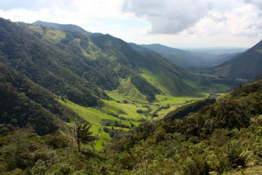 Coffee Region, Colombia