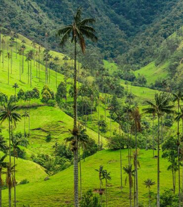 Corcora Valley, Colombia