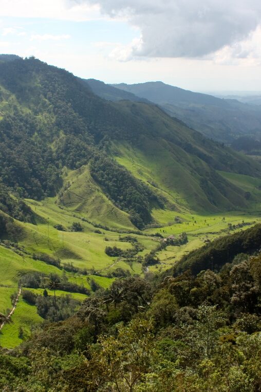 Coffee Region, Colombia, Getty