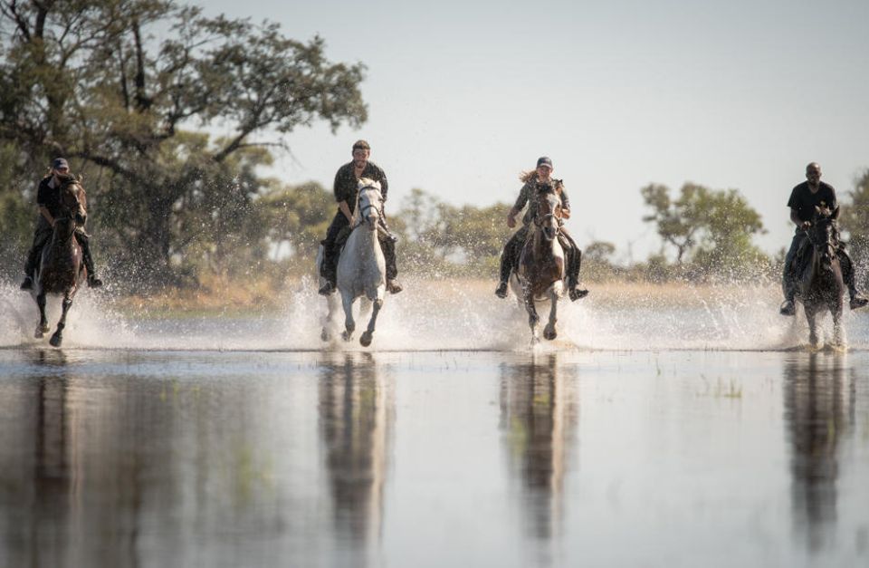 Eagle Island Lodge, Okavango, Botswana