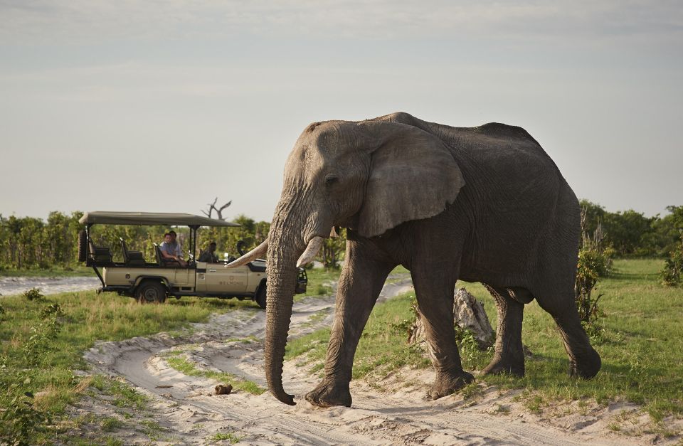 Savute Elephant Lodge, Chobe, Botswana