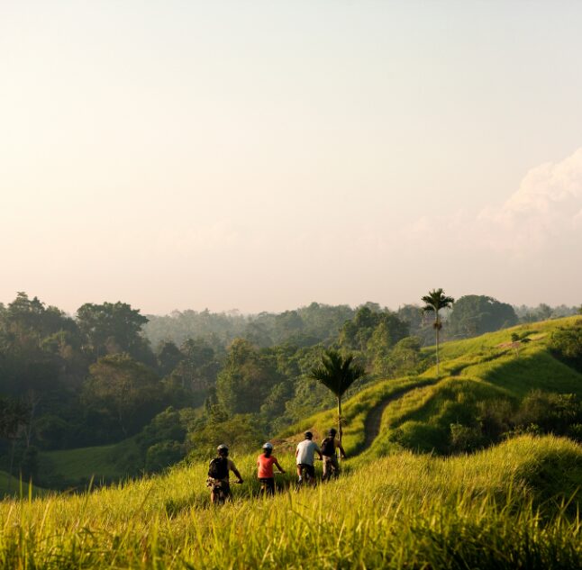 Biking through rice fields, COMO Uma Ubud, Bali, Indonesia