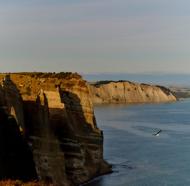 Coastline, Rosewood Cape Kidnappers, Hawke's Bay, New Zealand
