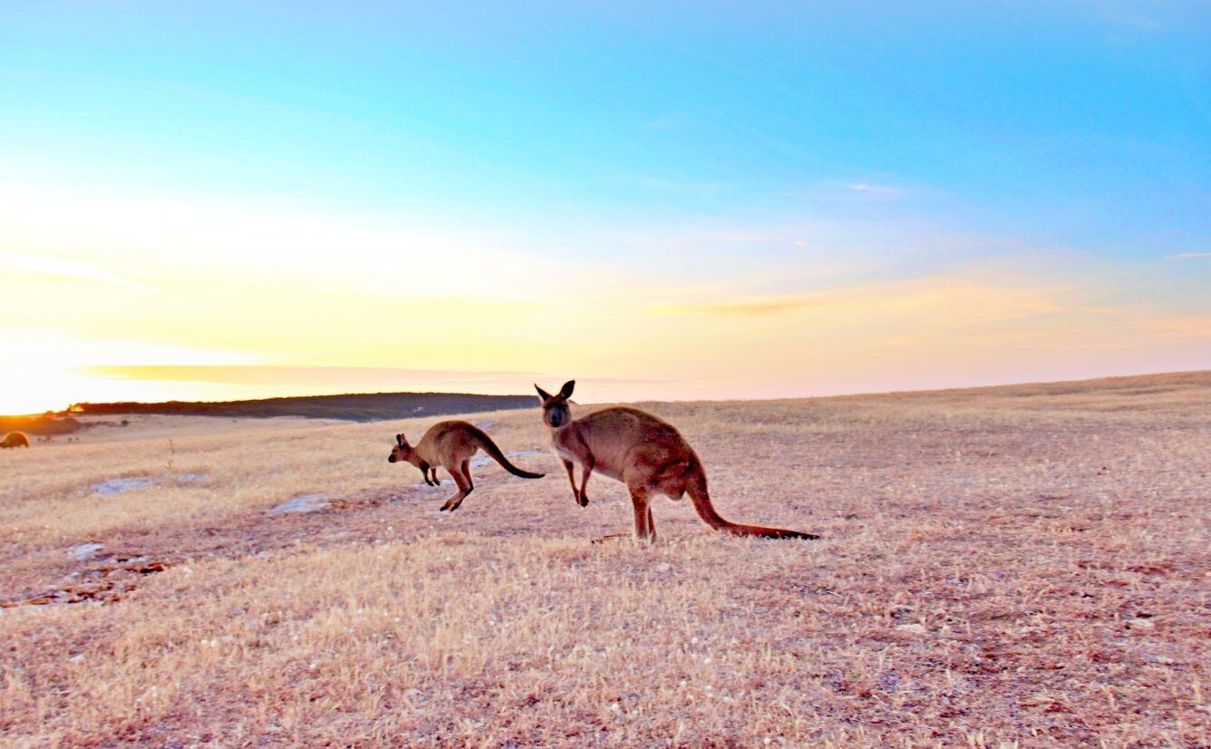Australia General Image