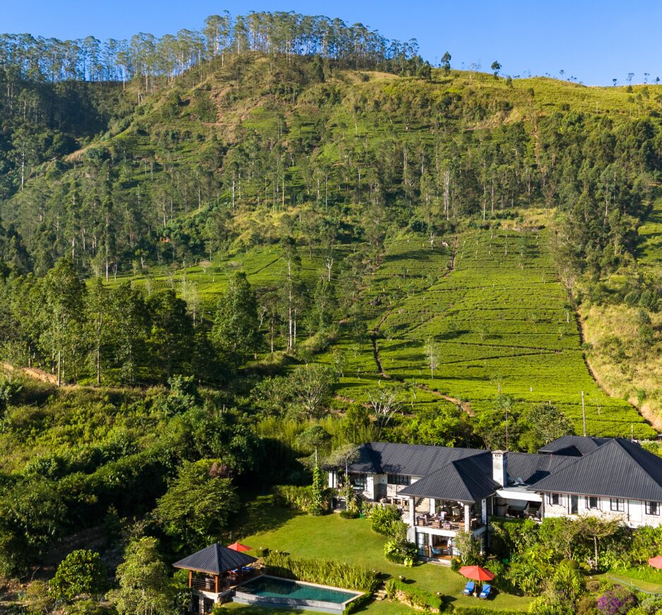 Aerial, Camellia Hills, Dickoya, Sri Lanka