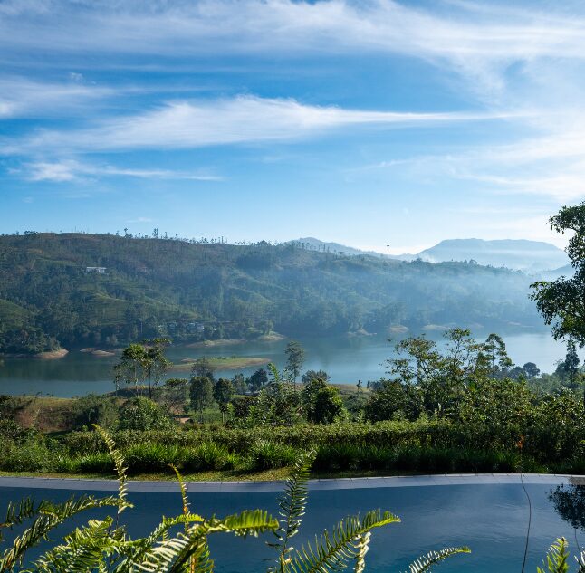 Infinity Pool, Camellia Hills, Dickoya, Sri Lanka
