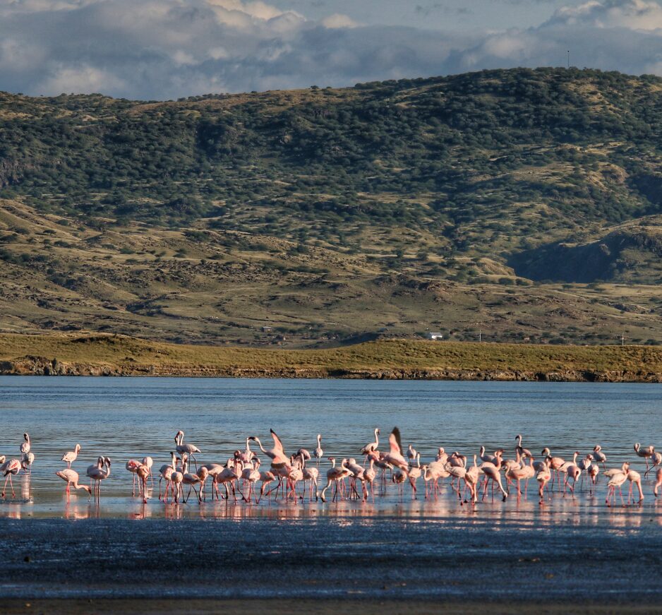 Lake Natron, Tanzania