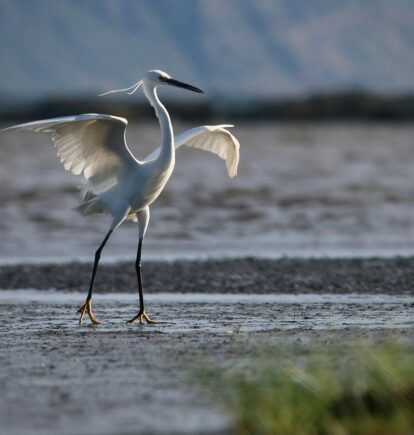 Lake Natron, Tanzania