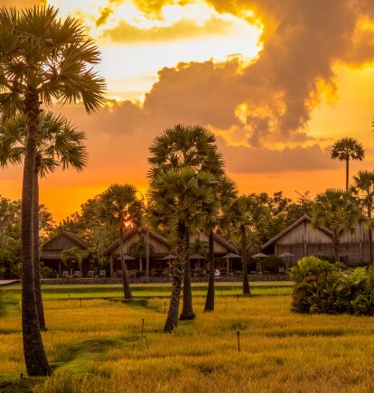 Sunset, Zannier Phum Baitang, Siem Reap, Cambodia