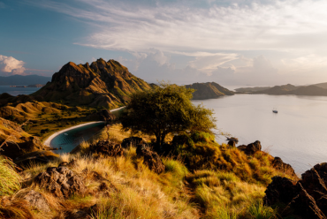 Aliikai, Indonesia