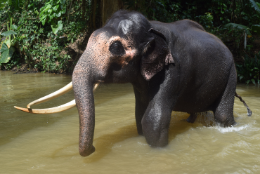 Kandy, Sri Lanka
