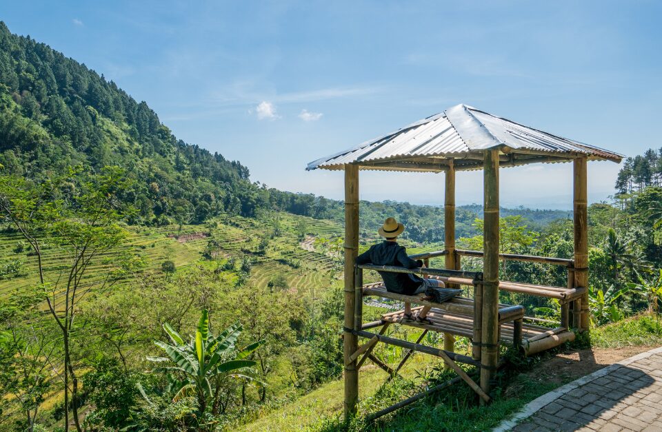 Selogriyo Picnic, Amanjiwo, Java, Indonesia