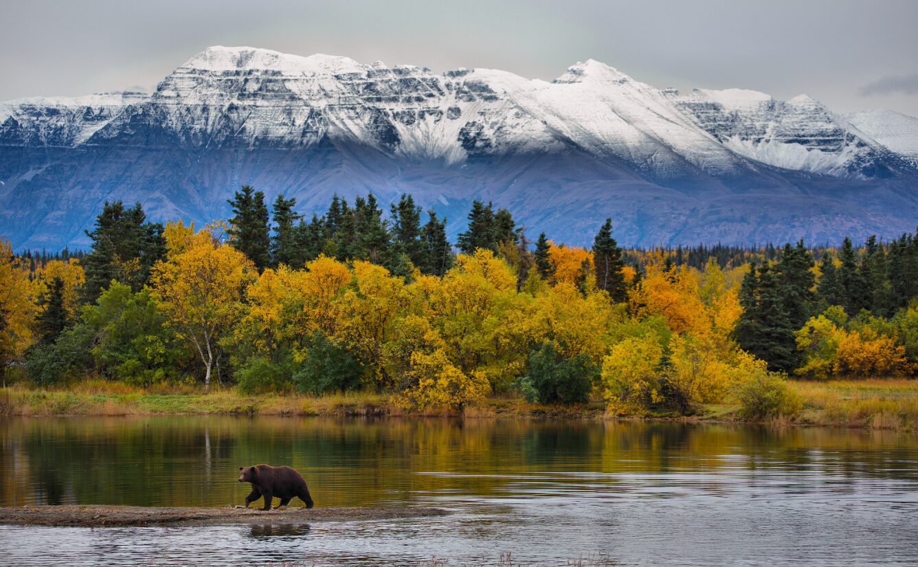 Alaska Lead Image