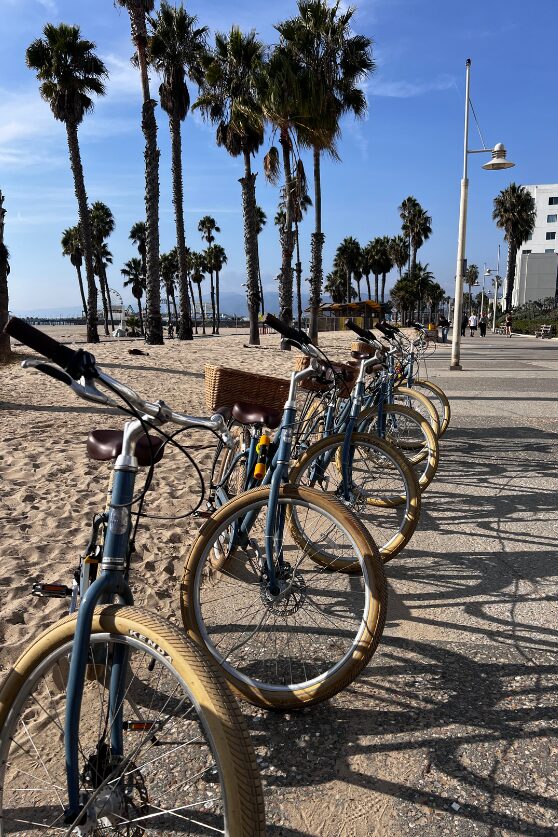 Santa Monica Beach, Los Angeles
