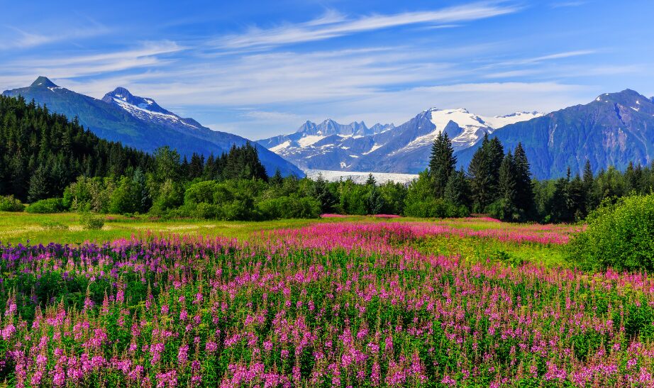 Alaska