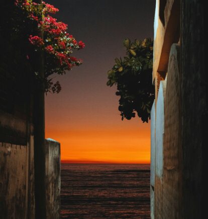 Mexican Riviera